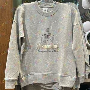 Disneyland The Happiest Place on Earth Castle Gray Pullover Crewneck Sweatshirt